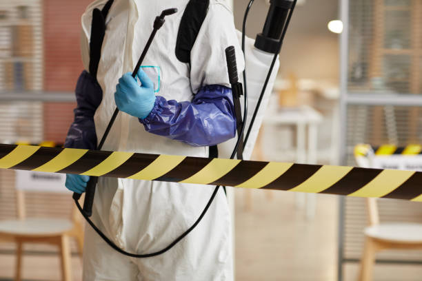 Professional Odor Removal technician working in Covington, OH