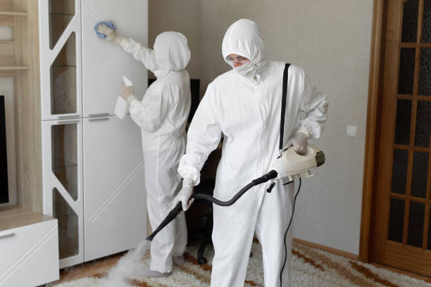 24/7 Emergency Odor Removal experts in Covington, OH
