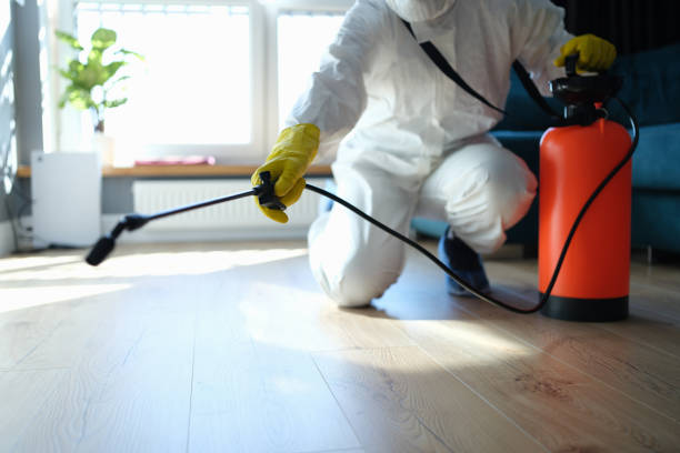 Reliable Odor Removal contractor in Covington, OH by Trauma Clean Pros